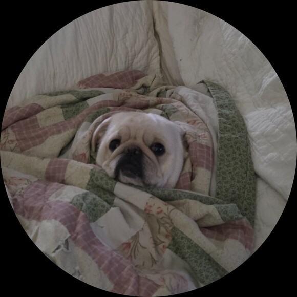 pugnation7071